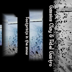 Footprints in the snow