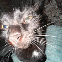 Пора зачилиться