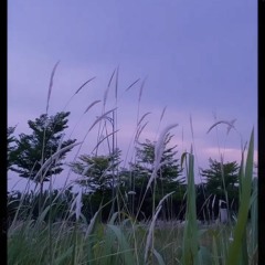 Gói Tình Em Rồi Về