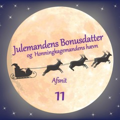 AFSNIT 11: Julemandens Bonusdatter - og Honningkagemandens hævn / Radio Viborg