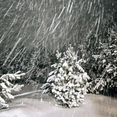 Yam0 by dj gyrydaz18