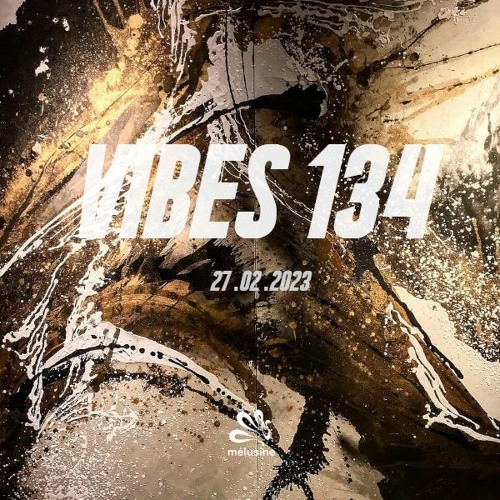 Vibes 134