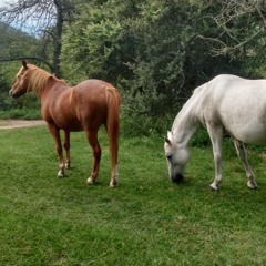 when we are together- the 1975