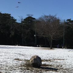 雪虫