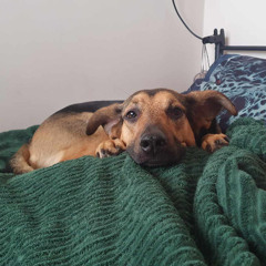 Nie chcesz zarobić?