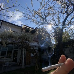 Yele - Luce riflessa (spoiler)