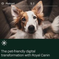 Transformation Stories: The Pet-Centric Experience