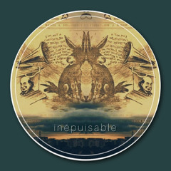 PREMIERE: bogdown - inépuisable