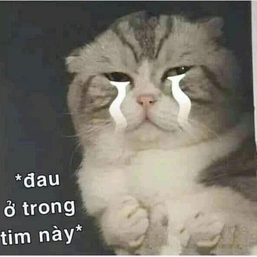 _Em đã nắm tay cùng với ai giờ ấm êm bên đời_bản gốc_