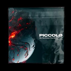 [DUR005] - Piccolø, Do You Know The World ? - EP