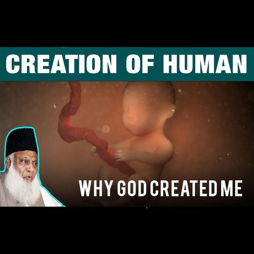 Creation Of Human | Why ALLAH Created You | Dr. Israr Ahmed