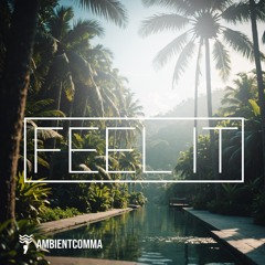Feel It - A HOUSE MUSIC STORY