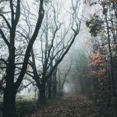 afraid of what you see ( cowrite-tucker)