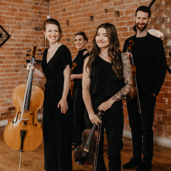 Leos Strings_Birds of a feather (snippet)