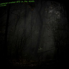 Aliens are roaming the Earth.