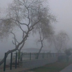 lungskull - met you at the party prod.(nolanberollin)