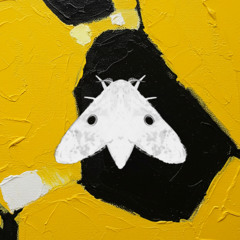 FIREFLY