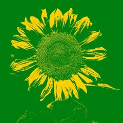 SUN FOR SAND