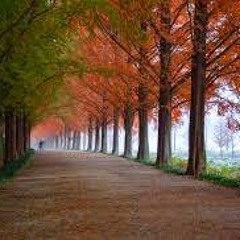 Autumn's Calling - Live Vinyl Deep House Mix