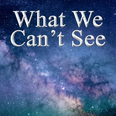 What We Can't See (ft. Dave - vocals, Margaret Abbott - violin, Chris Morgan - trumpet)