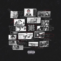 309 (Freestyle)