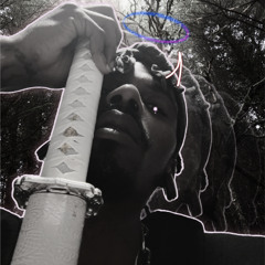sen. natura - 2Pacin' (Locked In Flowstyle)
