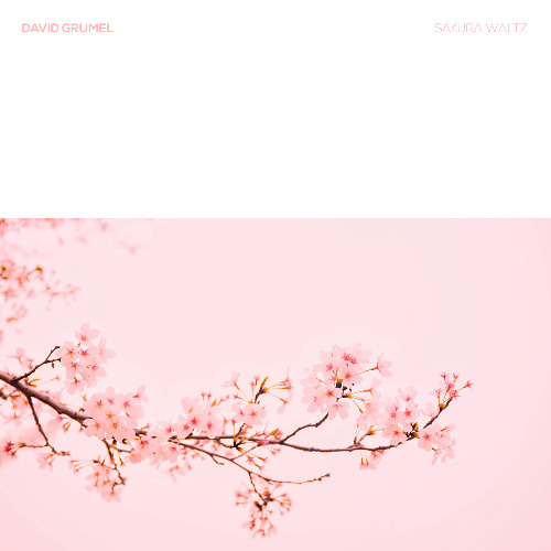 SAKURA WALTZ | David Grumel
