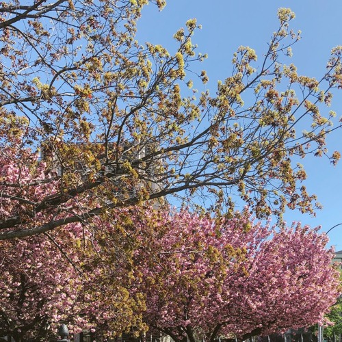 For The First Time Instrumental Cover