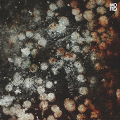 PREMIERE: Chloe Lula - Ego Sum [ Mord ]