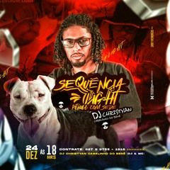 SEQUÊNCIA LIGHT DO PITBULL COM SEDE {DJ CHRISTYAN CABELINHO DO BENÉ}