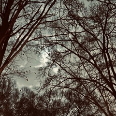 Tranquil mp3 - prod by ray