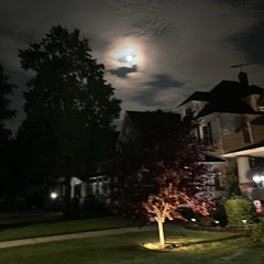 Public! (Prod.Gfelds)