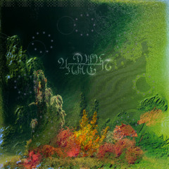 P̷R̷E̷M̷I̷E̷R̷E̷ 🦛✨ Notte Infinita - Screen Color Background Has Turned to AQUA [useless seconds]