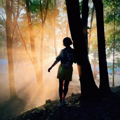 Virtual Geisha - Sunrise at Szaniec Stage - Wisłoujście 2024