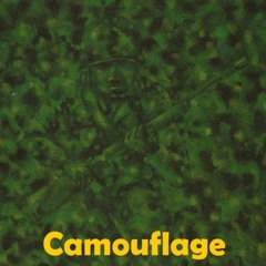 Camouflage