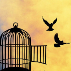 WHAT MAKES A BIRD FLY (prod. XEEG)