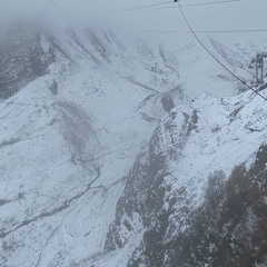 #Vпариже🐈‍⬛  + wjetx + shzka