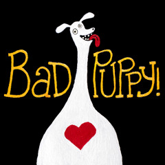 Bad Puppy!