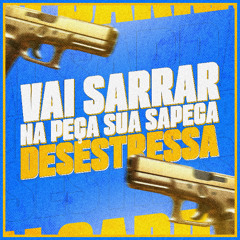 VAI SARRAR NA PEÇA SUA SAPECA DESESTRESSA, ME POSTOU NO DAILY - FUNK RJ (DJ LT)