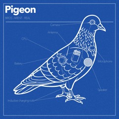 Love Mums International - The Birds Aren't Real (FREE DOWNLOAD)