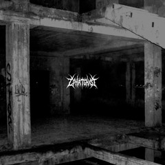 MΛXIMΛ (allplatform