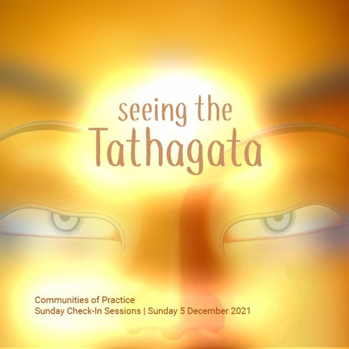 Seeing The Tathagata