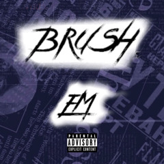 Brush EM