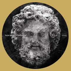 Voltumna (Truncate Remix)