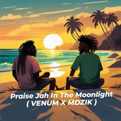 YG Marley -Praise Jah In The Moonlight ( Dj VenuM X MADZIK )