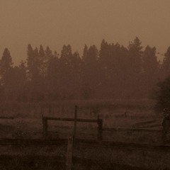 Cold Weather and Wasted Paper in the Mailbox