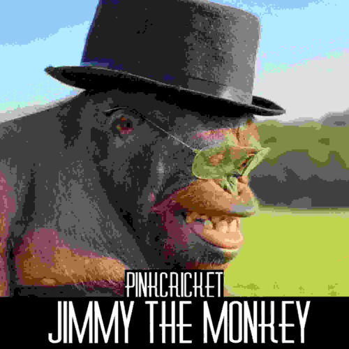 pinkcricket - Jimmy the Monkey