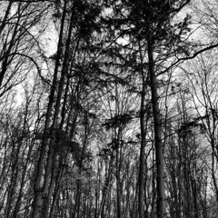 терапия перков/новые технологии