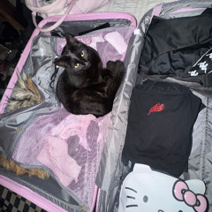 BASSLINE / UKG SIDE QUEST IN THE CLITOVERSE