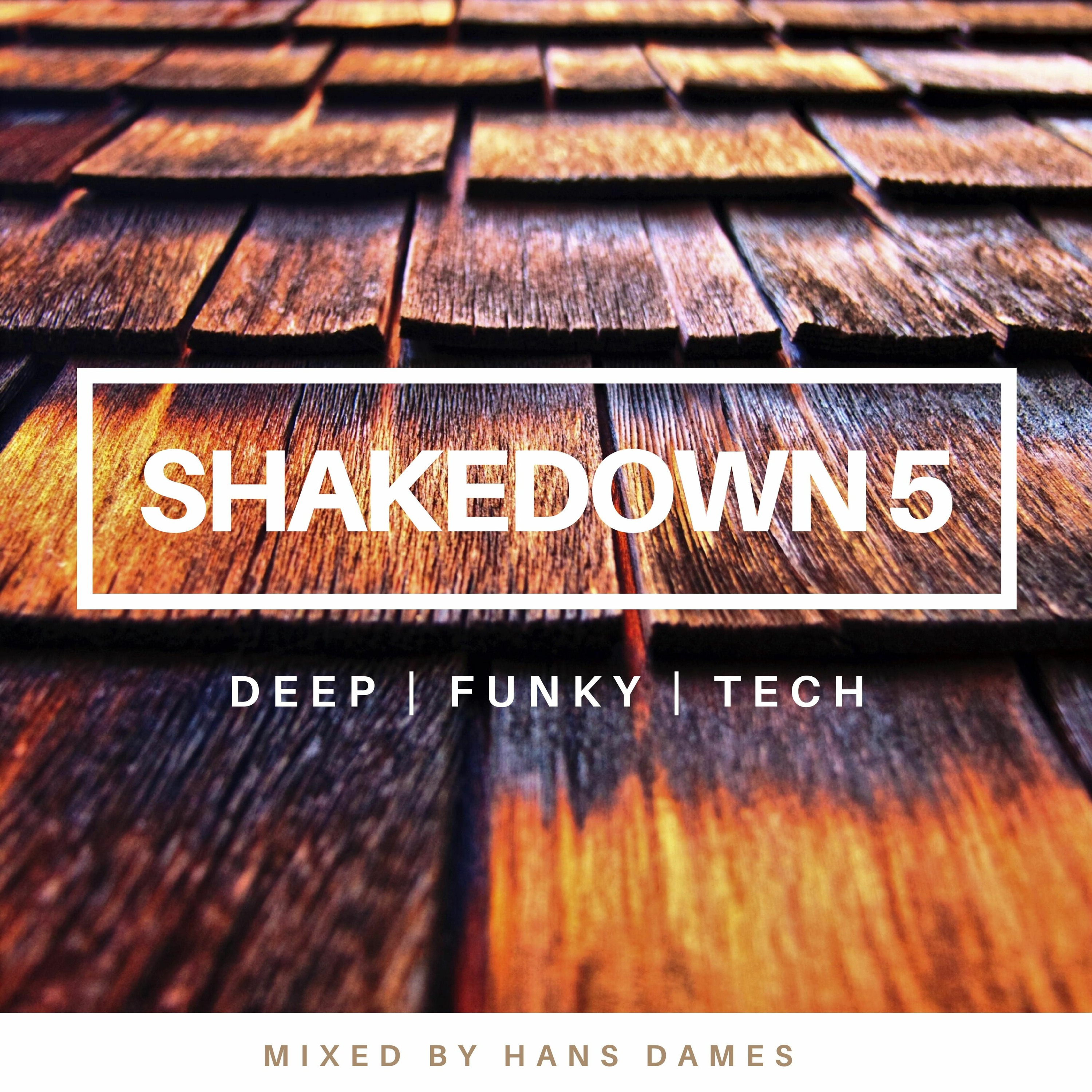 SHAKEDOWN 2020 #5 - mixed by Hans Dames episode artwork